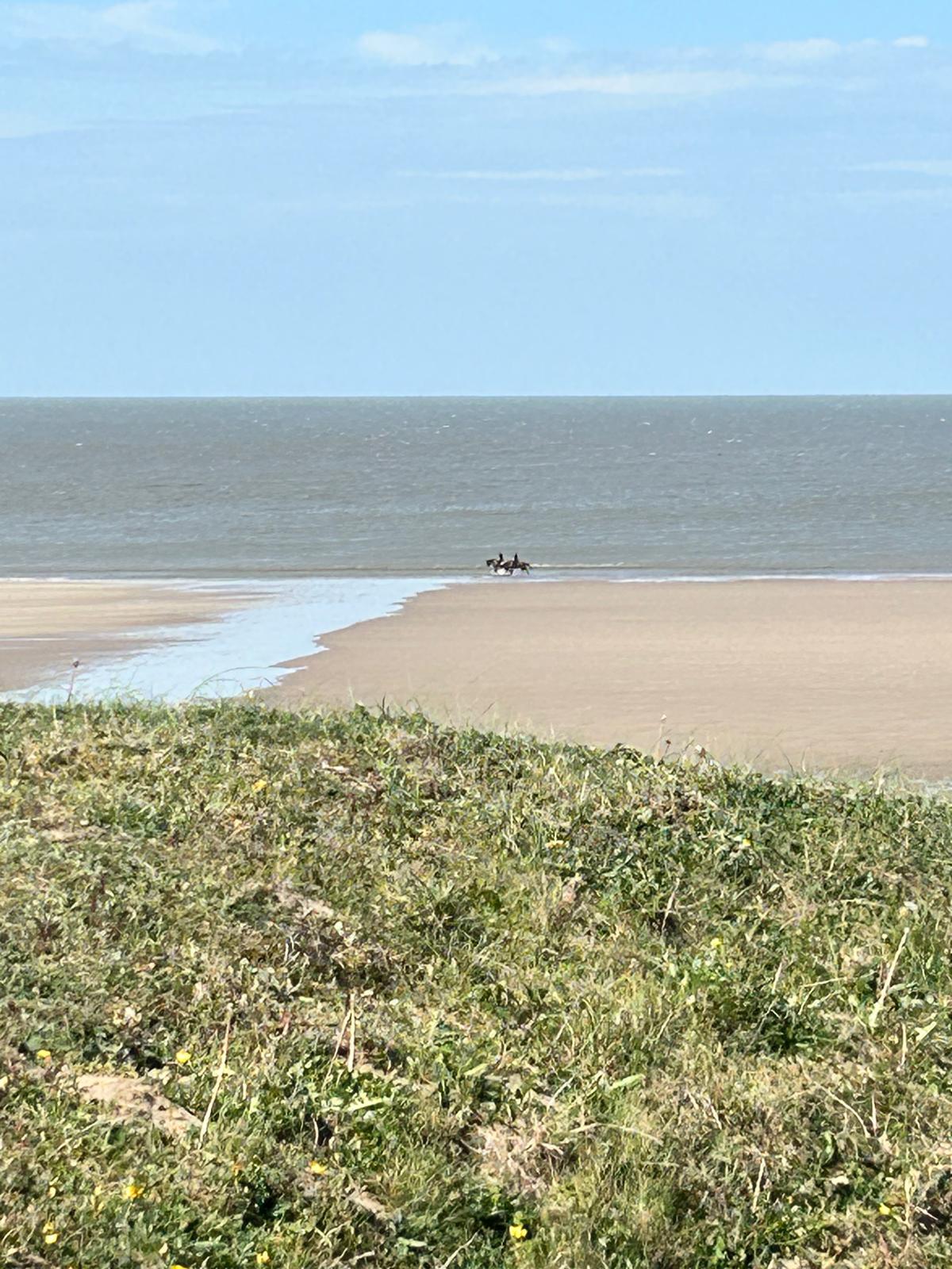 Kerry's Bench - photo 6